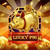 Porco Da Sorte - CRG Slot Game at 77PH